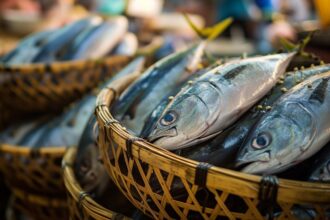 Diadema realiza Campanha do Pescado até a Sexta-Feira Santa