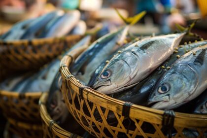 Diadema realiza Campanha do Pescado até a Sexta-Feira Santa
