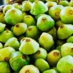 Festival do Cambuci chega à 21ª edição em Paranapiacaba com gastronomia, cultura e experiências na Mata Atlântica