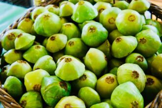 Festival do Cambuci chega à 21ª edição em Paranapiacaba com gastronomia, cultura e experiências na Mata Atlântica
