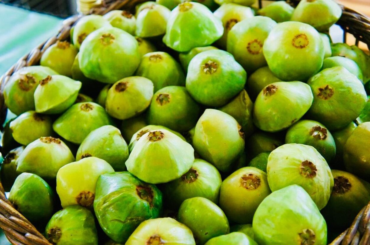 Festival do Cambuci chega à 21ª edição em Paranapiacaba com gastronomia, cultura e experiências na Mata Atlântica