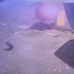 Policial da Rota é baleado após reagir a tentativa de assalto em Diadema