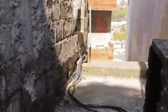 Mulher mata companheiro após briga doméstica em São Bernardo