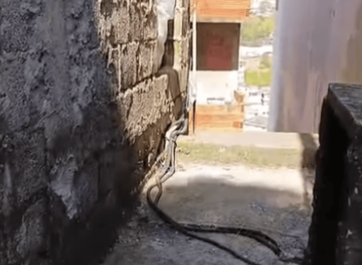 Mulher mata companheiro após briga doméstica em São Bernardo