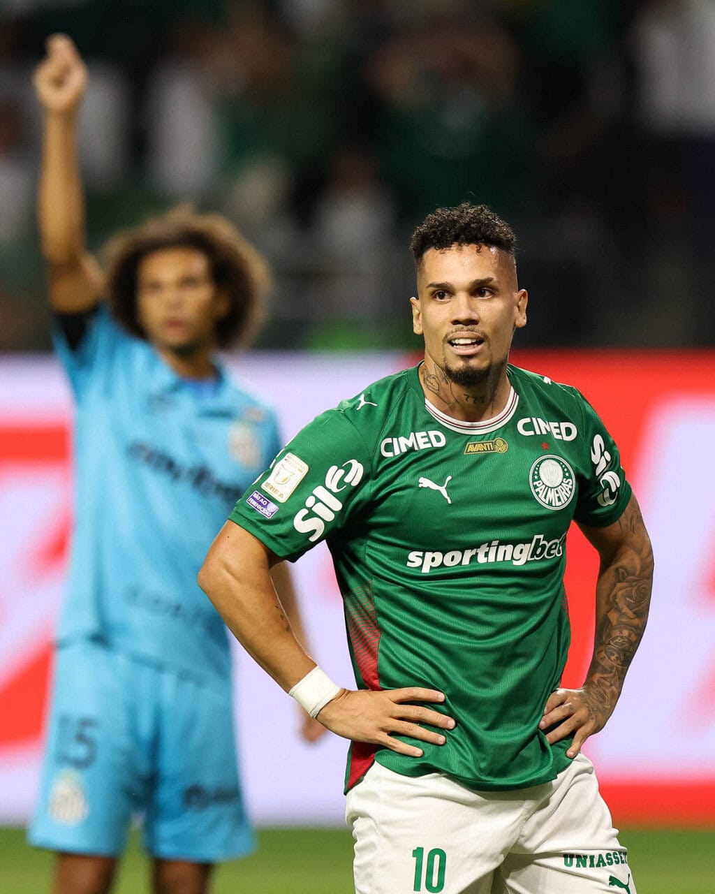 Palmeiras