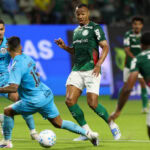 Palmeiras