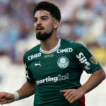 Palmeiras Flaco argentina