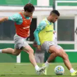 Palmeiras