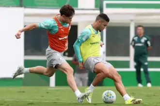 Palmeiras