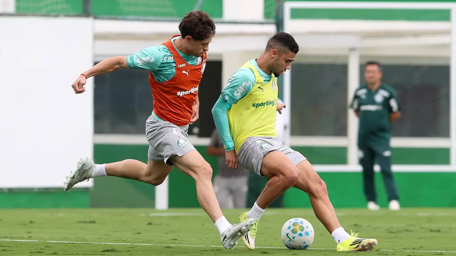 Palmeiras