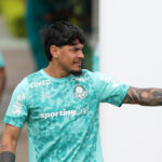 Palmeiras