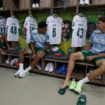 Palmeiras