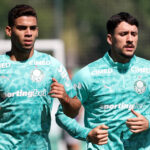 palmeiras