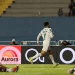 Palmeiras