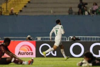 Palmeiras