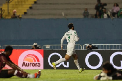 Palmeiras