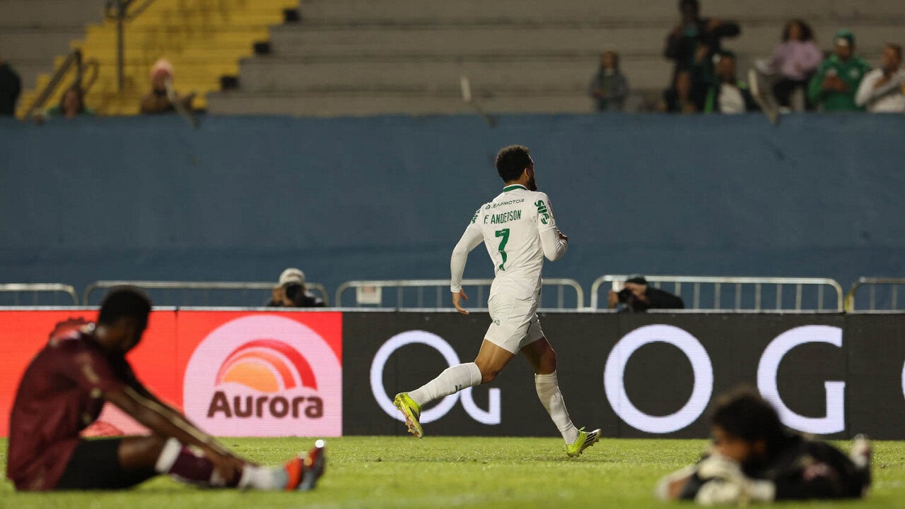 Palmeiras