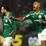 palmeiras
