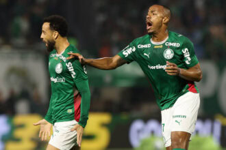 palmeiras