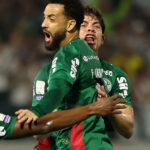 palmeiras