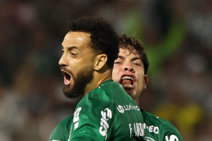 palmeiras