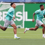 Palmeiras