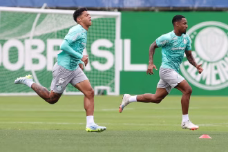 Palmeiras