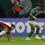 Palmeiras