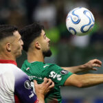 palmeiras