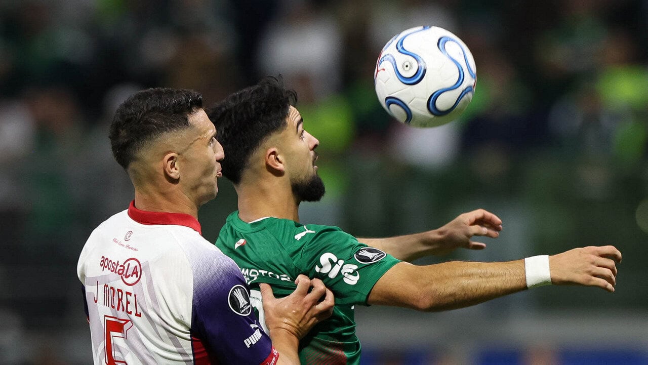 palmeiras