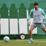 palmeiras