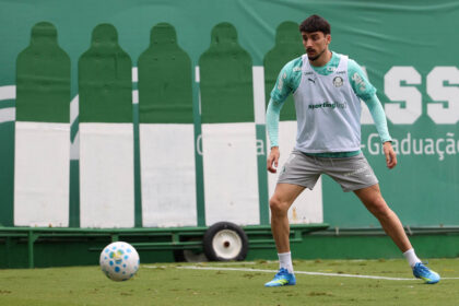 palmeiras
