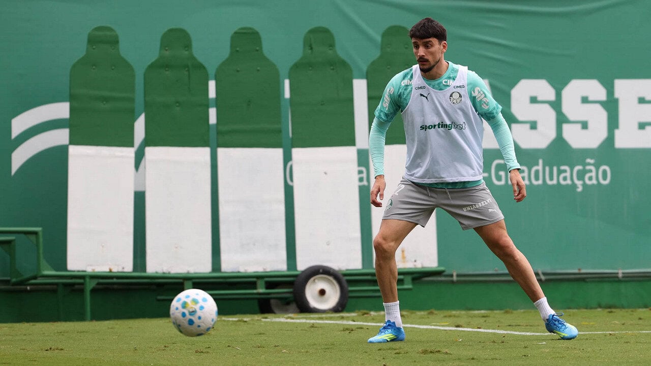 palmeiras