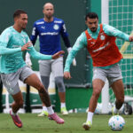 Palmeiras