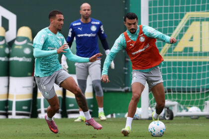Palmeiras