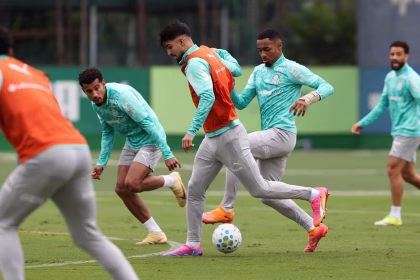 palmeiras