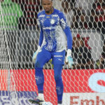 palmeiras