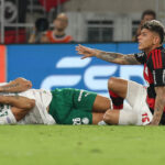 Palmeiras murilo