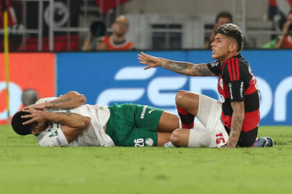 Palmeiras murilo