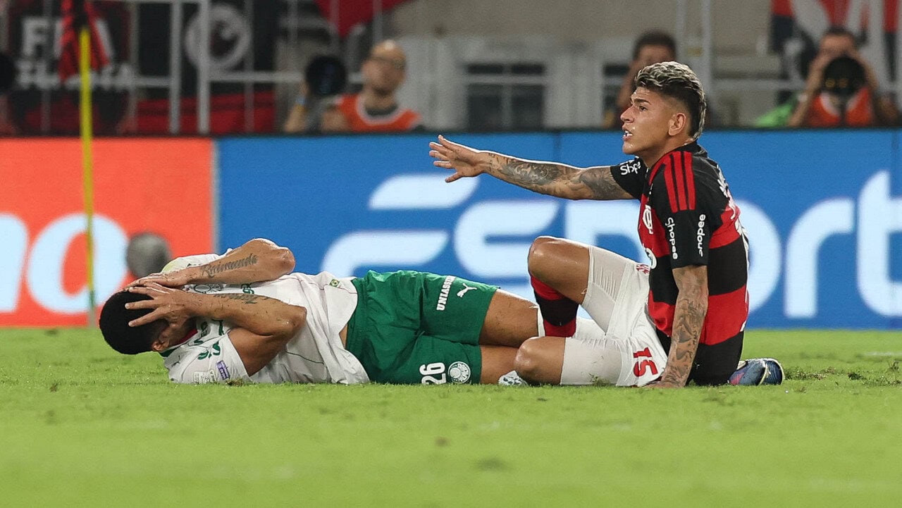 Palmeiras murilo