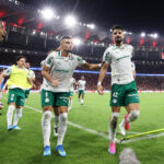 palmeiras