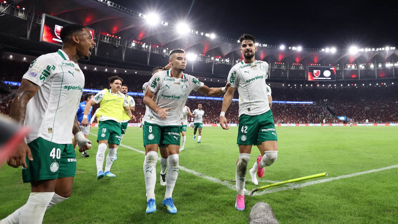 palmeiras