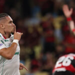 Palmeiras flamengo