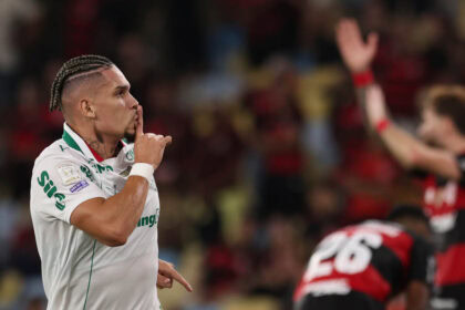Palmeiras flamengo