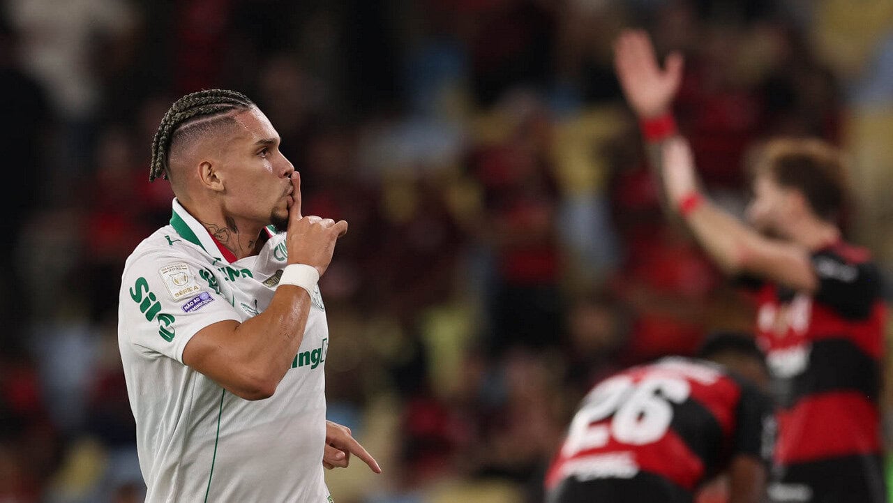 palmeiras