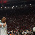 palmeiras