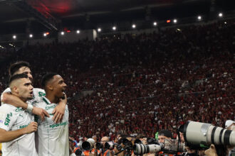 palmeiras