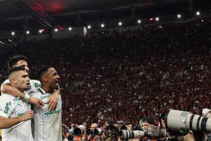 palmeiras