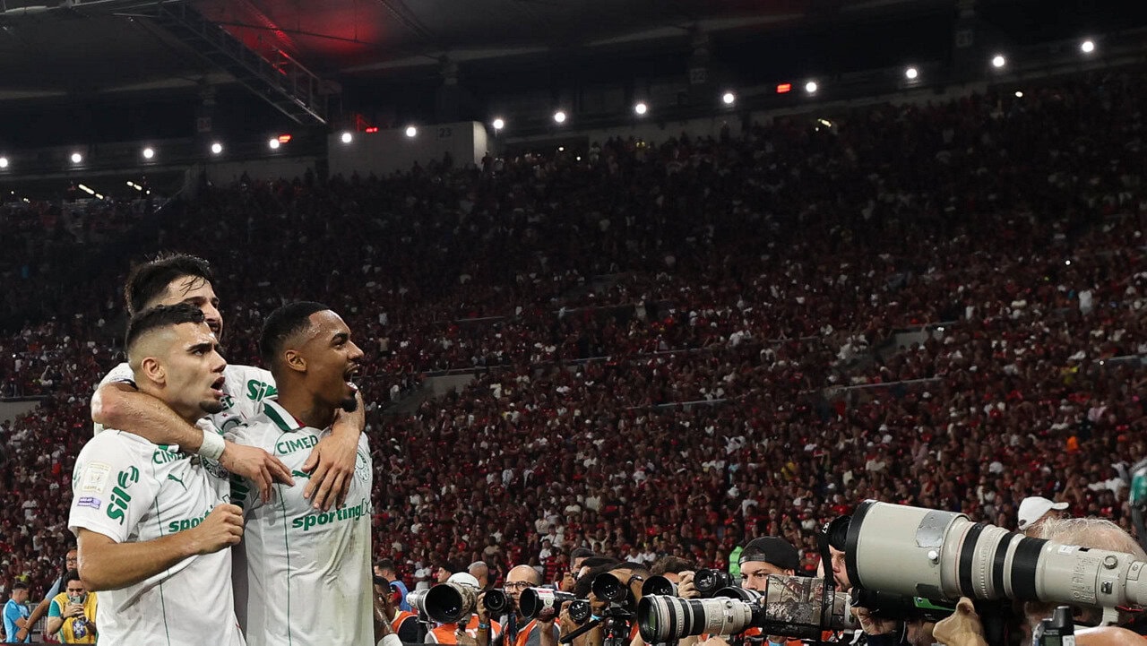 palmeiras