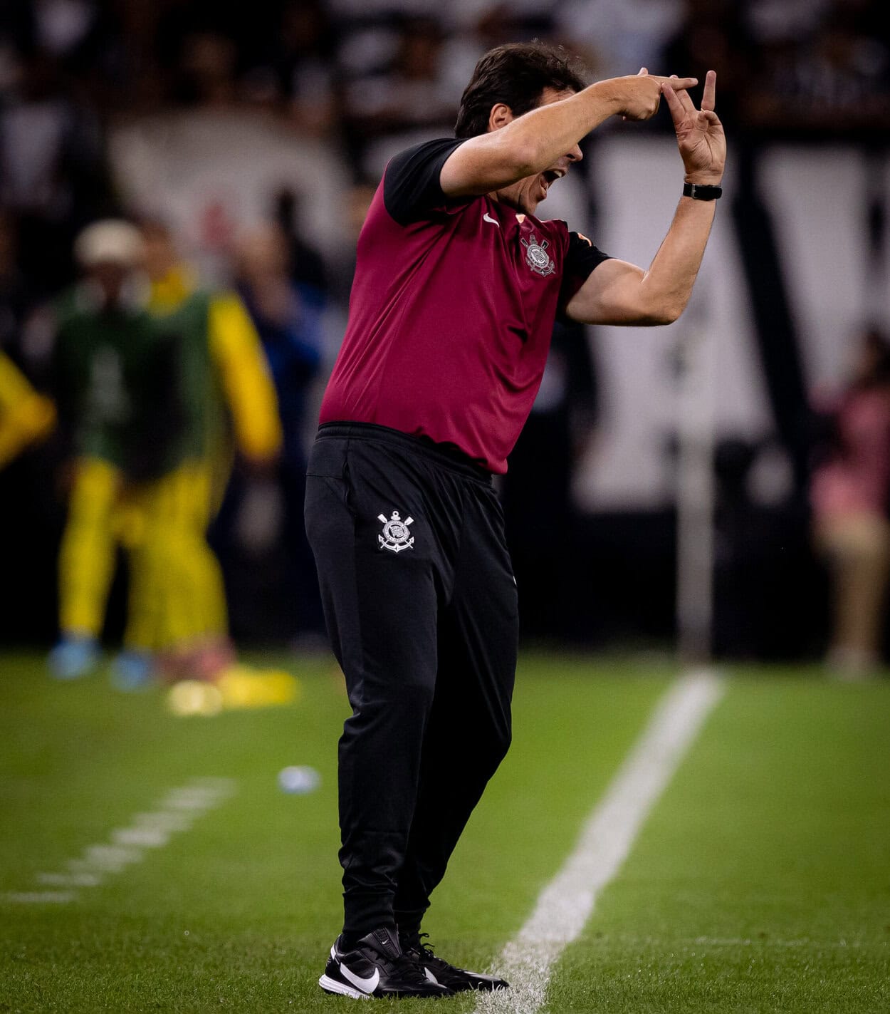 Fernando Diniz Corinthians